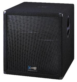  Y118S 